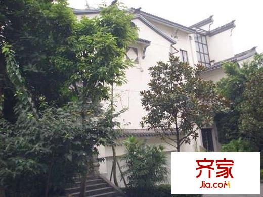 金科中華坊外景圖小區(qū)相關圖_12