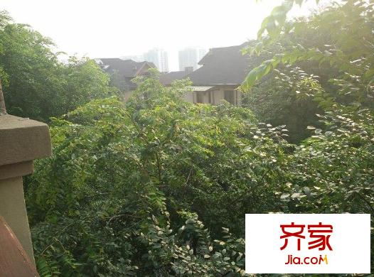 首鋼美利山二期御山外景圖首鋼美利山御山別墅 