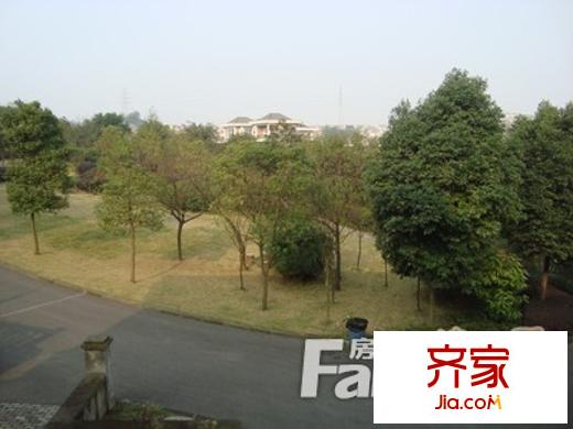 長青湖別墅外景圖
