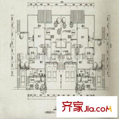 中安翡翠湖戶型圖D型聯(lián)排 6室