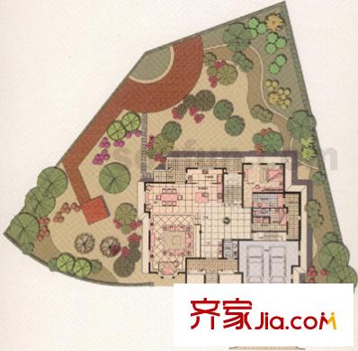 常青藤人文別墅戶型圖D1型獨立別墅 6室4廳2衛(wèi)2廚