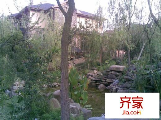 常青藤人文別墅外景圖 