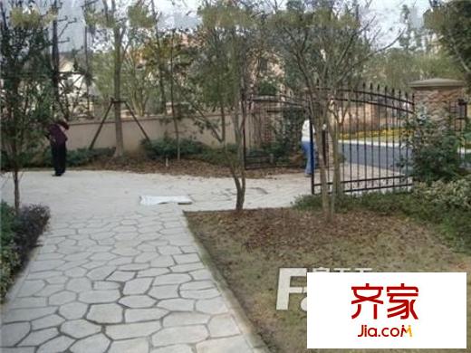 常青藤人文別墅外景圖 