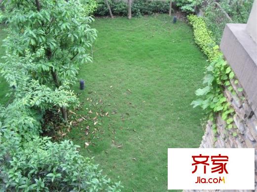 常青藤人文別墅外景圖 