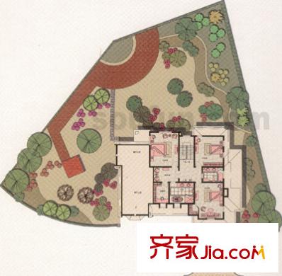 常青藤人文別墅戶型圖D1型獨立別墅 6室4廳2衛(wèi)1廚