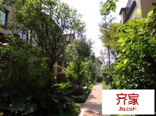 東原香山別墅外景圖東原香山 