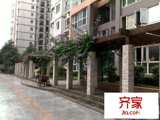 紫晶麗苑外景圖小區(qū)相關(guān)圖_15