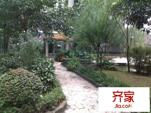 紫晶麗苑外景圖小區(qū)相關(guān)圖_10