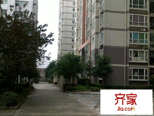 紫晶麗苑外景圖小區(qū)相關(guān)圖_14