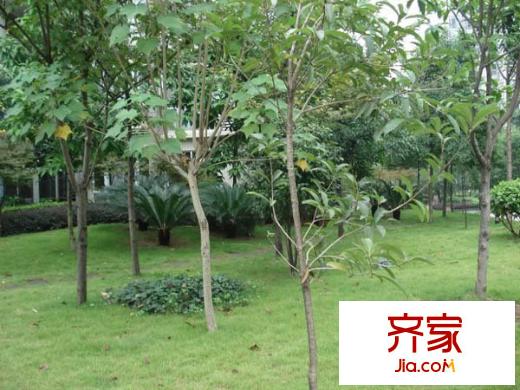 加新花園一期外景圖加新花園16