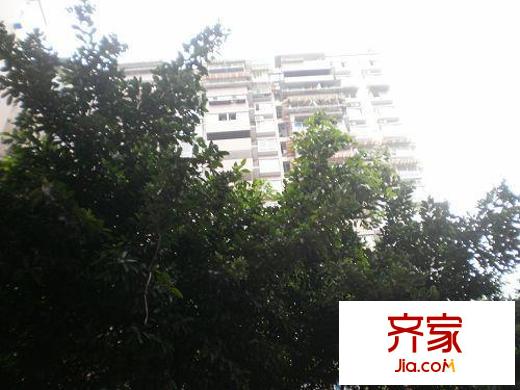 中山三路小區(qū)外景圖中山三路