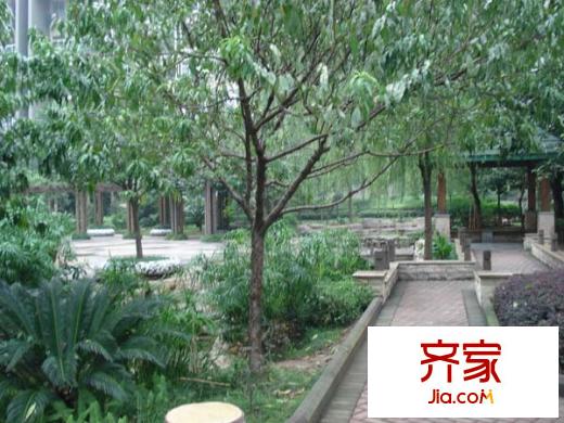 加新花園一期外景圖加新花園7