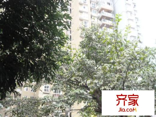 圣湖天域二期外景圖 