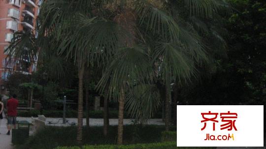 天水伴山居外景圖