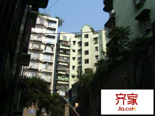 金星花園外景圖小區(qū)相關(guān)圖_7