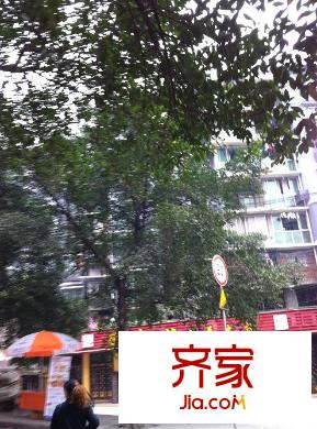 金星花園外景圖