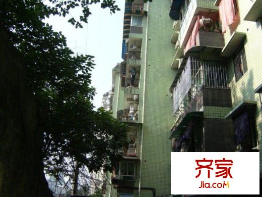 金星花園外景圖小區(qū)相關(guān)圖_8