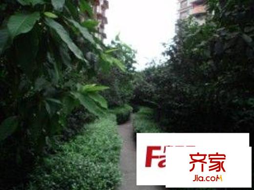 黃金堡公寓外景圖小區(qū)相關(guān)圖_3