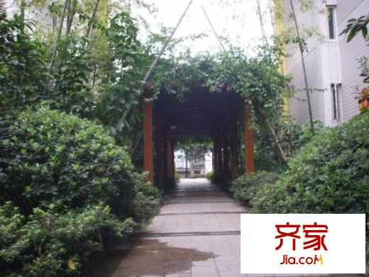 旭日鳳凰城外景圖小區(qū)相關(guān)圖_1