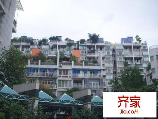 旭日鳳凰城外景圖小區(qū)相關(guān)圖_12