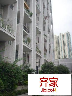 旭日鳳凰城外景圖小區(qū)相關(guān)圖_3