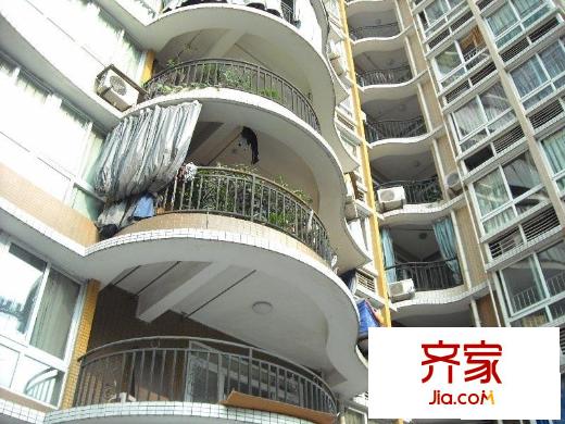 春江名都外景圖小區(qū)相關(guān)圖_4