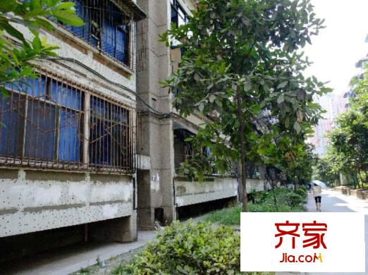 明佳苑外景圖小區(qū)相關(guān)圖_8