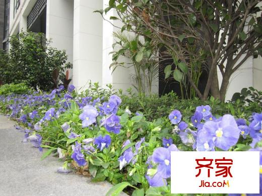 龍城國際外景圖
