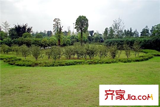 居易天城項目周邊中央公園