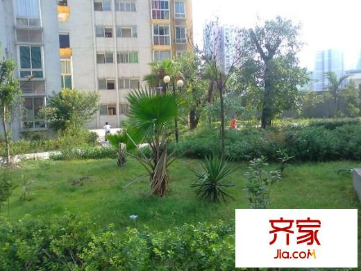 康田龍騰灣外景圖 