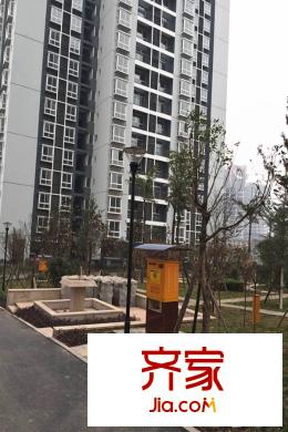 都靈態(tài)度實景圖小區(qū)綠化（2015.3.17）