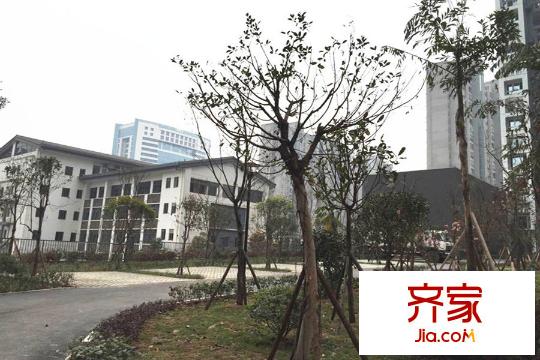 都靈態(tài)度實景圖小區(qū)（2015.3.17）