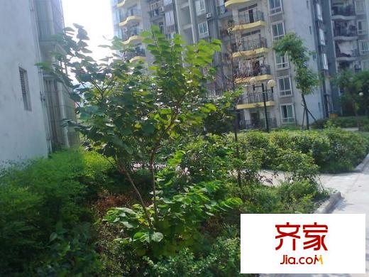 康田龍騰灣外景圖
