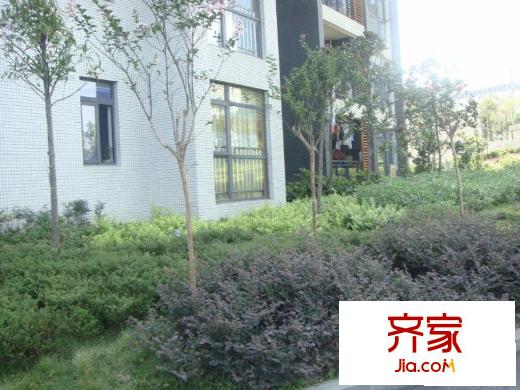 國雅彩云間外景圖小區(qū)相關(guān)圖_2