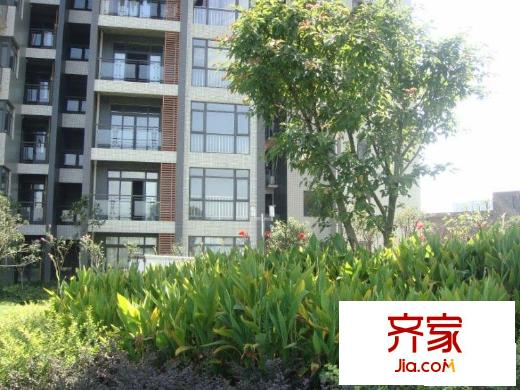 國雅彩云間外景圖小區(qū)相關(guān)圖_5