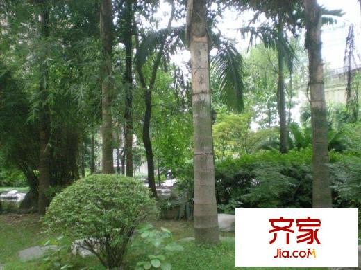龍珠花園外景圖