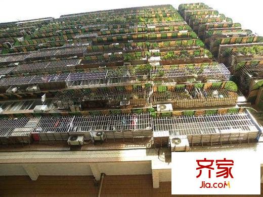 龍泉新苑外景圖小區(qū)相關圖_9