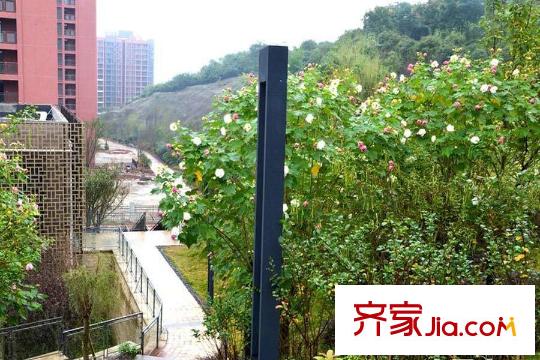 康田漫香林周邊寨山坪公園