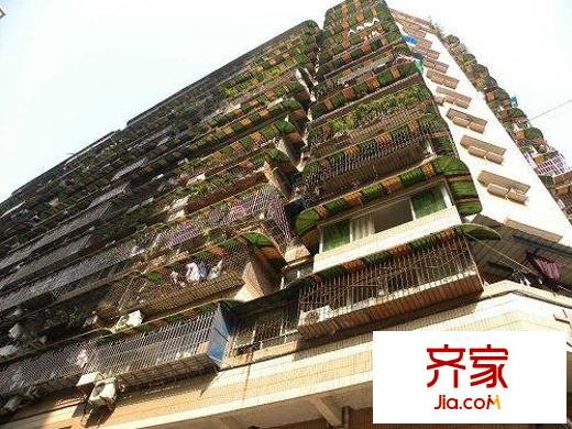龍泉新苑外景圖小區(qū)相關(guān)圖_8