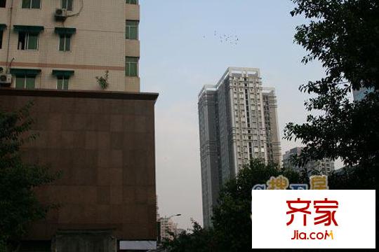 金禾麗都外景圖17