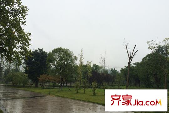 海宇學(xué)府江山周邊公園景觀