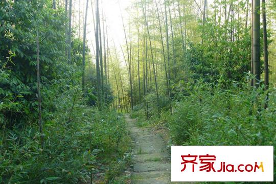 海宇學(xué)府江山周邊縉云山
