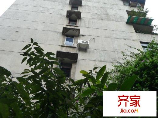 洋河一村外景圖3