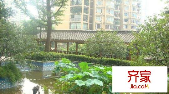 騎龍經(jīng)典外景圖小區(qū)相關圖_12