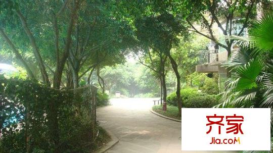 騎龍經(jīng)典外景圖小區(qū)相關(guān)圖_3