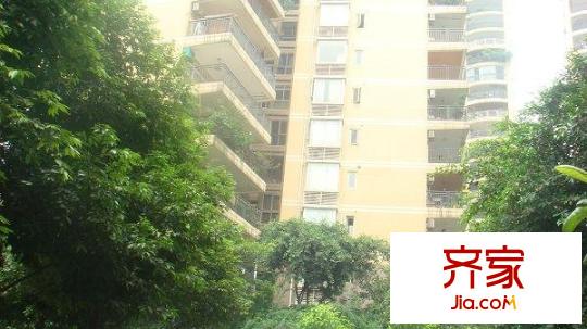 騎龍經(jīng)典外景圖小區(qū)相關圖_4