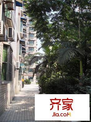瓊?；▓@外景圖小區(qū)相關(guān)圖_3