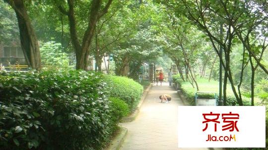 騎龍經(jīng)典外景圖小區(qū)相關(guān)圖_9