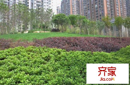 明發(fā)江南香郡外景圖
