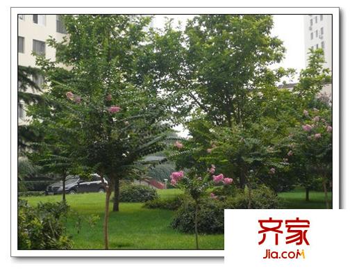 后勤基地外景圖3
